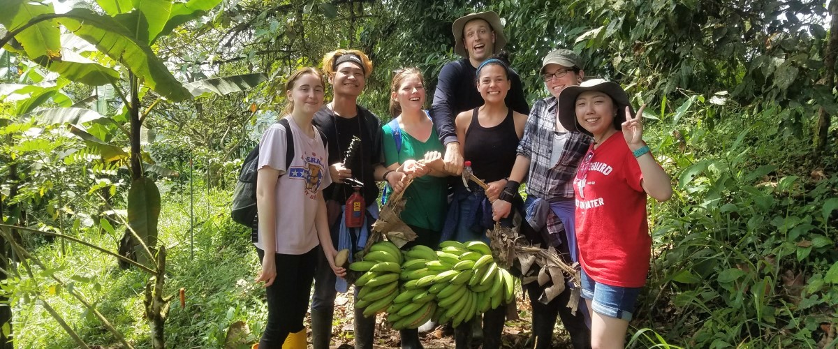 students stand together in a jungle with a bunch of green bananas.