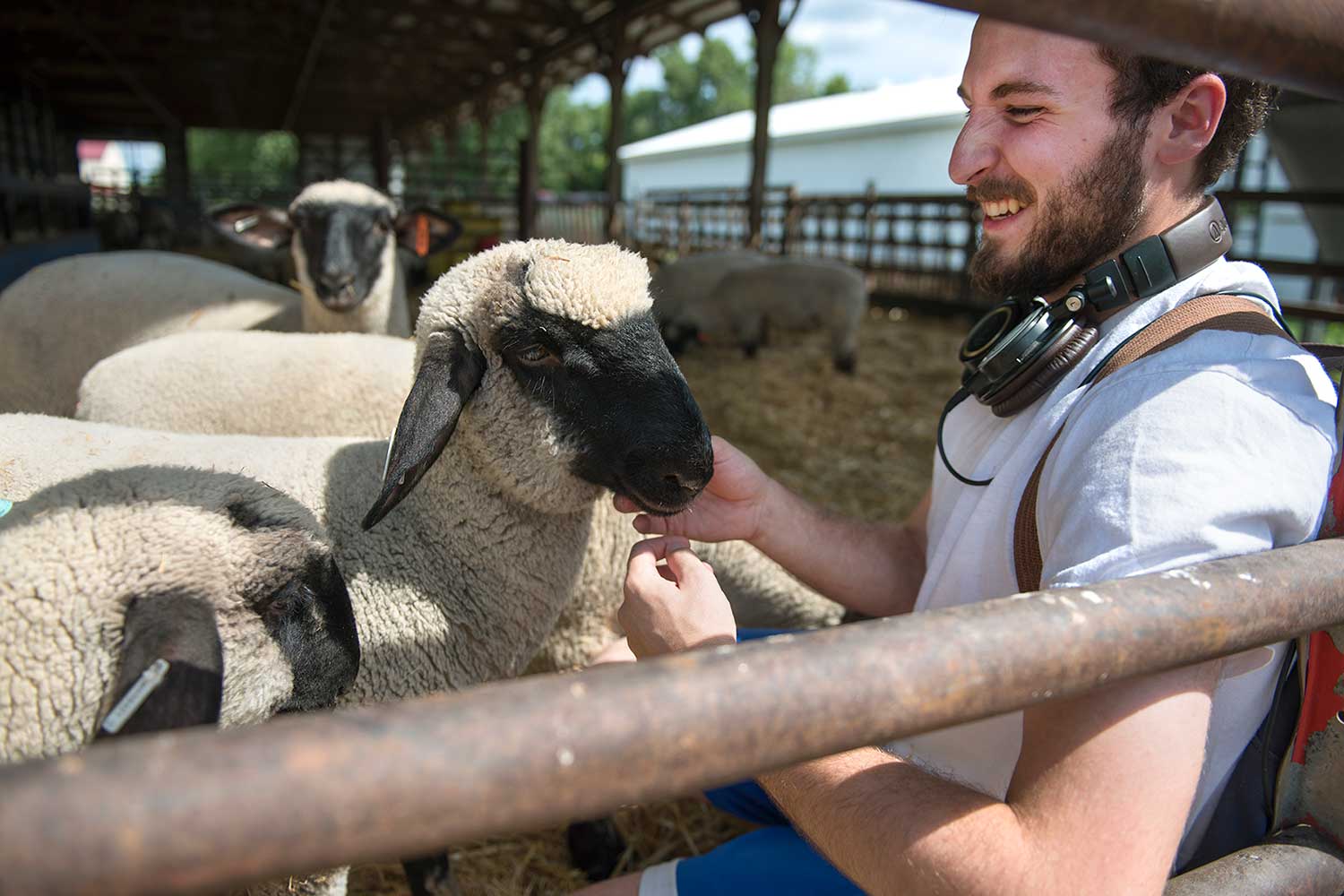 Student smiles while interacting with sheep on campus