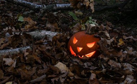 jack o lantern surrounded by fallen leaves on a forest floor