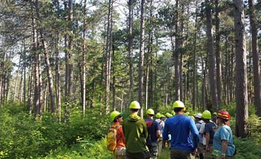 The Camp 8 Stand: The Story of the Cloquet Forestry Center's Old-Growth ...