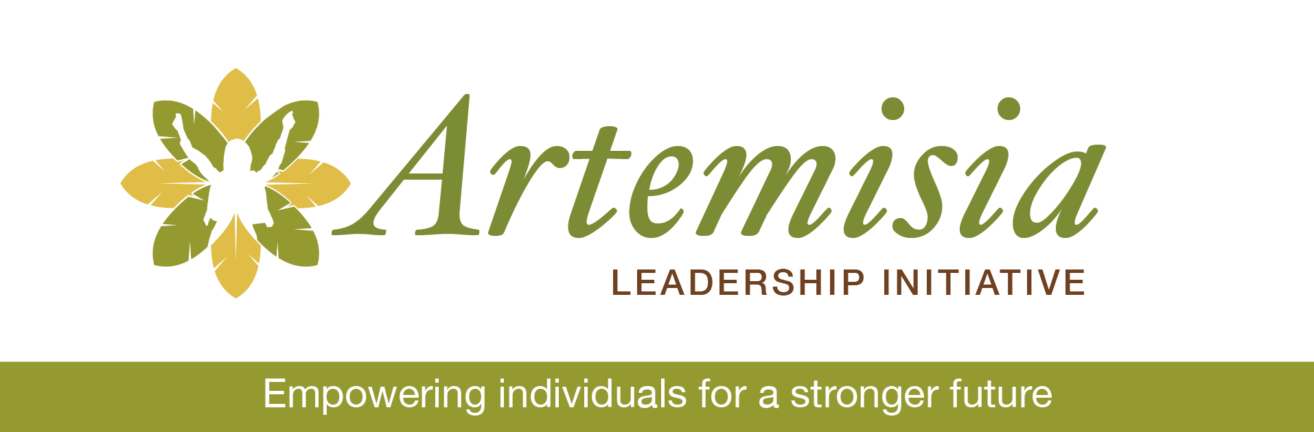 Image reads "Artemisia Leadership Initiative"