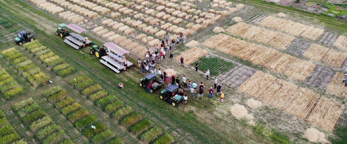 Aerial shot of the Barley U event being held in the fields on Saint Paul campus
