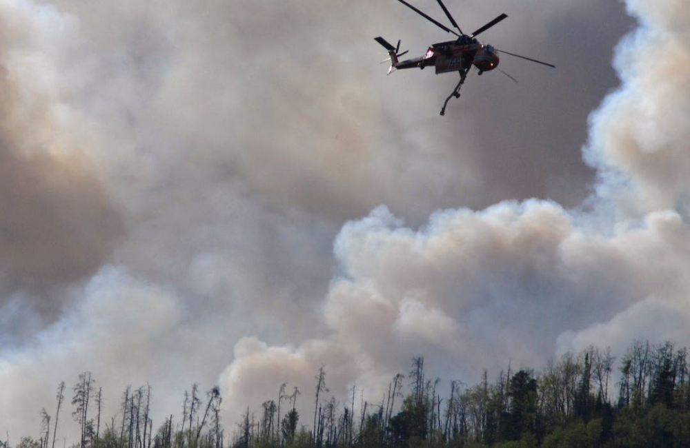 Star Tribune: Can the BWCA be saved from fire — by fire? | College of ...