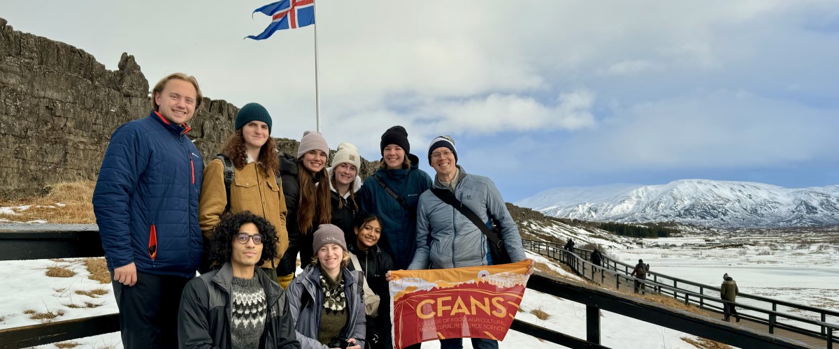 Iceland group photo