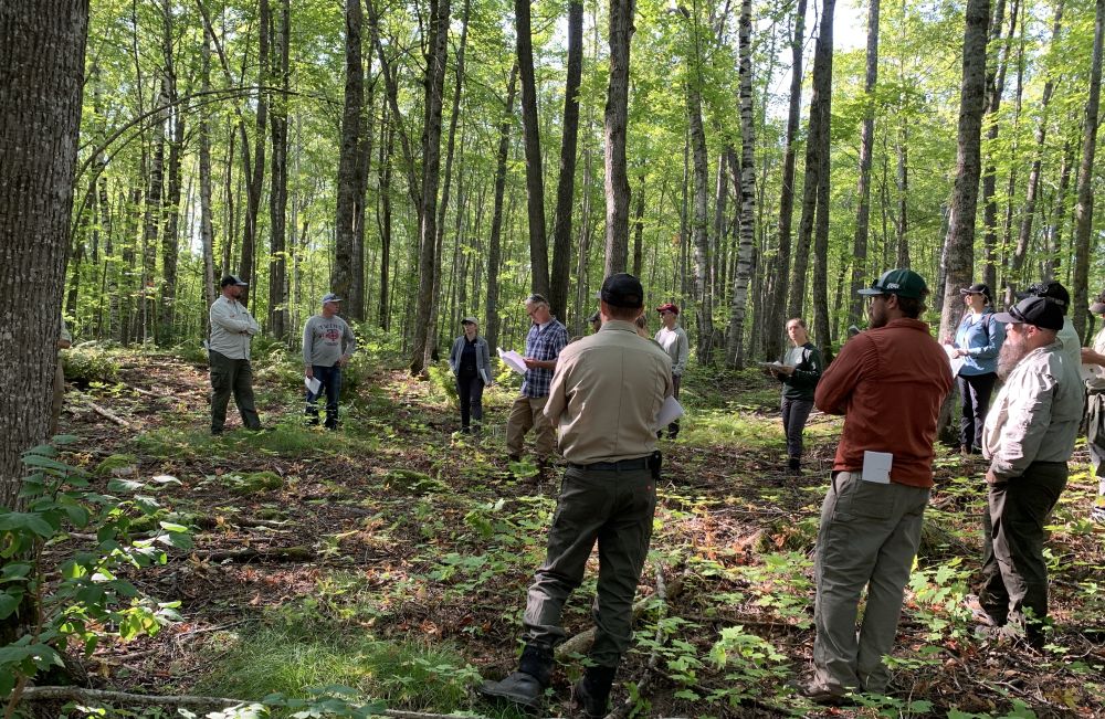 Building bridges | College of Food, Agricultural and Natural Resource ...