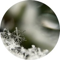 Snowflake for Spotlight Science January 2023