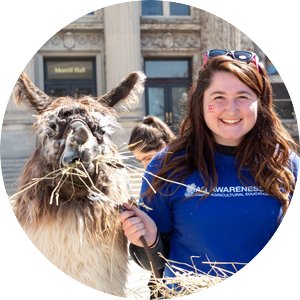 A Student holds a llama on a halter at annual ag awareness day