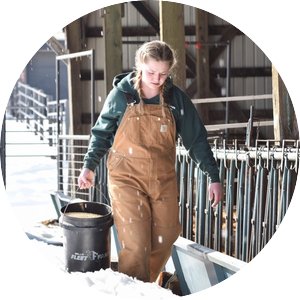 Woman in overalls carries a bucket of feed alongside the sheep barns on the St Paul Campus