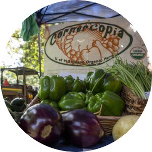 A table of fresh vegetables like peppers with the Cornercopia logo in the backgroun