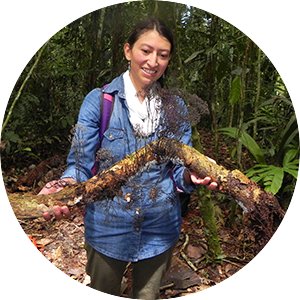 Female graduate student holding fungi-covered branch while doing field research abroad