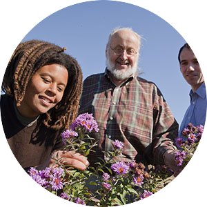 Don Wyse (center), Adrian Hegeman (right), and A. Cece Martin (left) with native plants whose flowers are being tested for cosmetic uses in addition to their primary use as biomass fuel. Project funded by Aveda Corp.