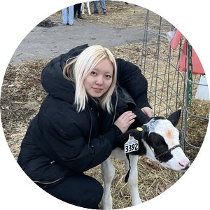 Yueyue kneels down to pose for a picture next to a baby calf. 