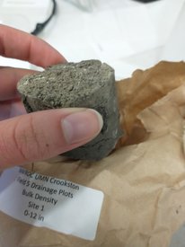 Dried soil sample.