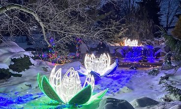 Flowers made out of Christmas lights light up the surrounding snow blue and green.