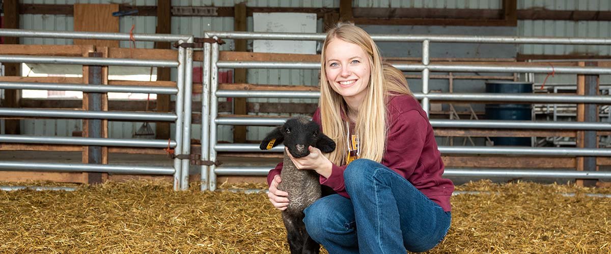 Student poses with lamb in barn on campus.