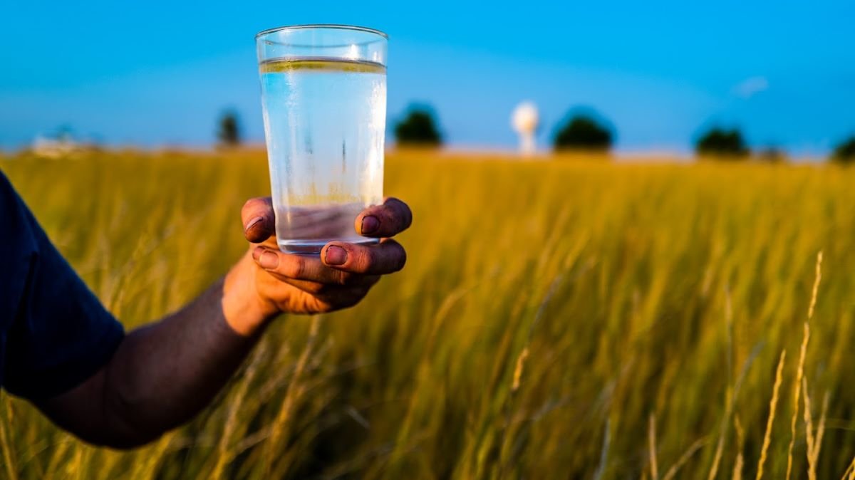 Person holding water glass in a field.