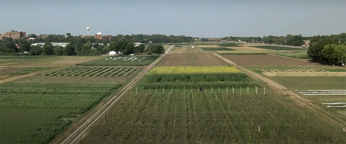 Horticultural science research fields in St. Paul.