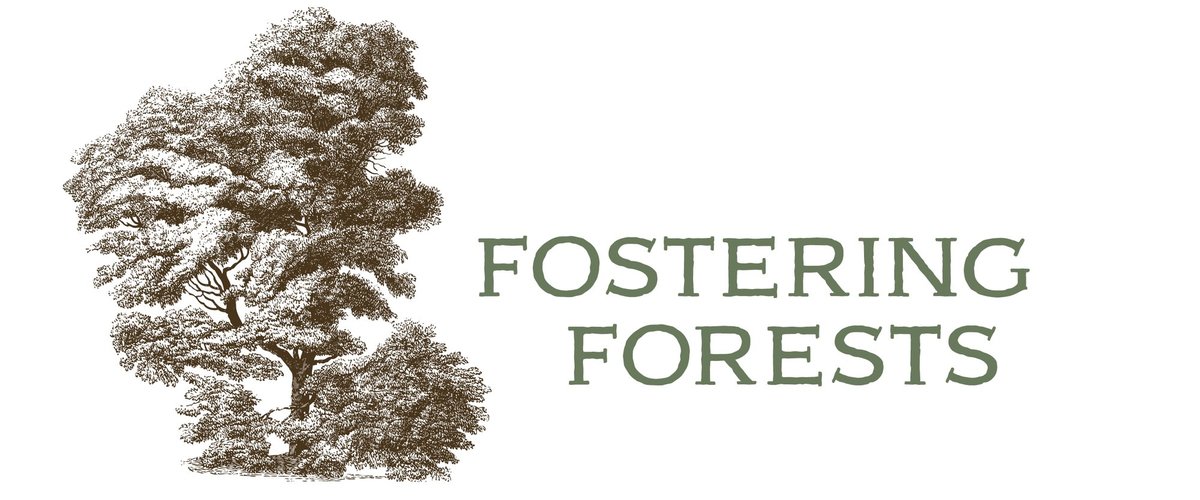 Tree sketch with fostering forests title.