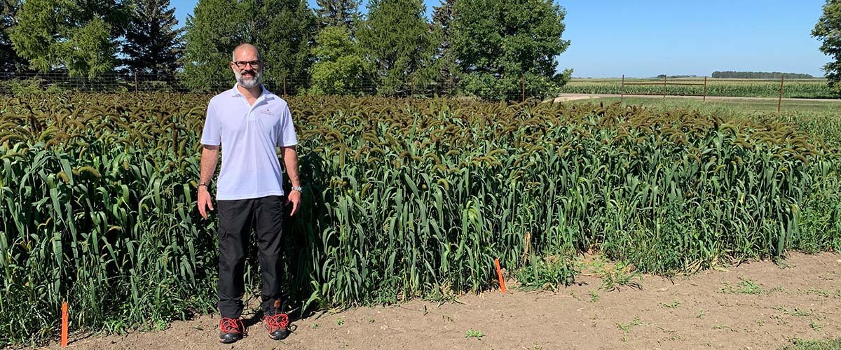 Paulo Pagliari stands near the designated east African crops at the Lamberton research and outreach center.