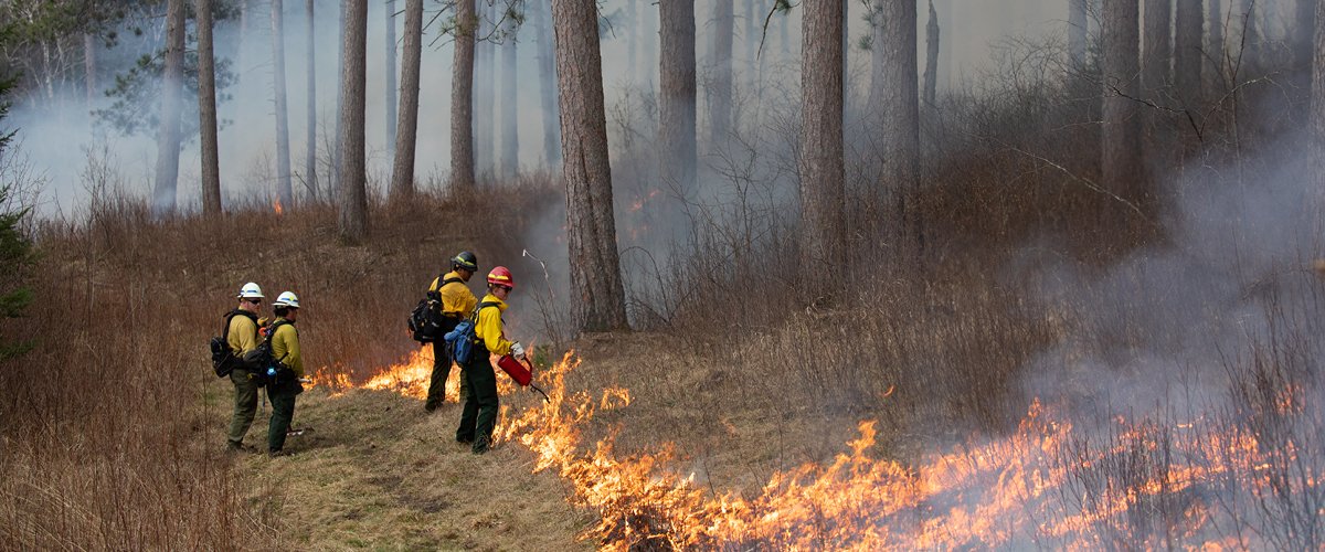 Firefighters monitor a prescribed burn at the Cloquet Forestry Center.