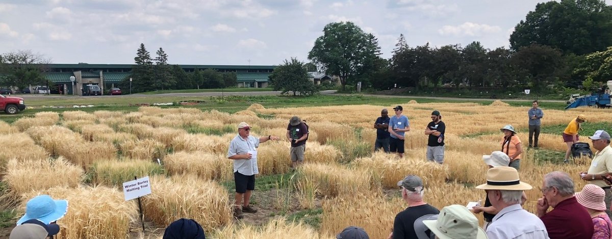 participants in 2023 Barley field learn in a field of grain 