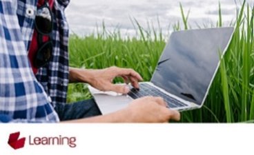 A person working outdoors on a laptop