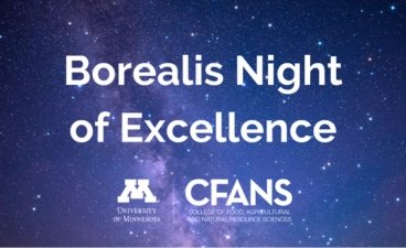 Borealis Night of Excellence on a starry background