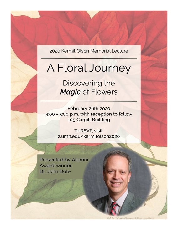 A floral journey: Discovering the Magic of Flowers
