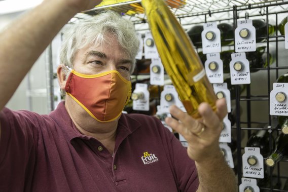 University of Minnesota enology specialist Drew Horton examines a bottle of wine.