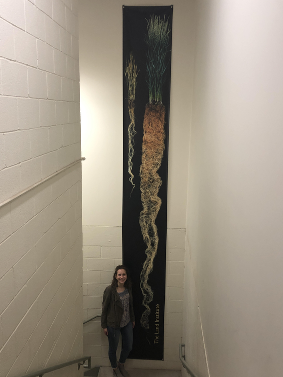 Hannah Stoll next to root wall art that hangs from ceiling to floor.