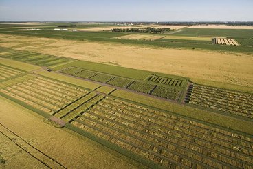 Aerial view of wheat plots at the University of Minnesota, Northwest Research and Outreach Center, Crookston, Minnesota.