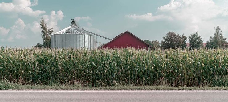 Corn growing in front of a red barn and domed silo.