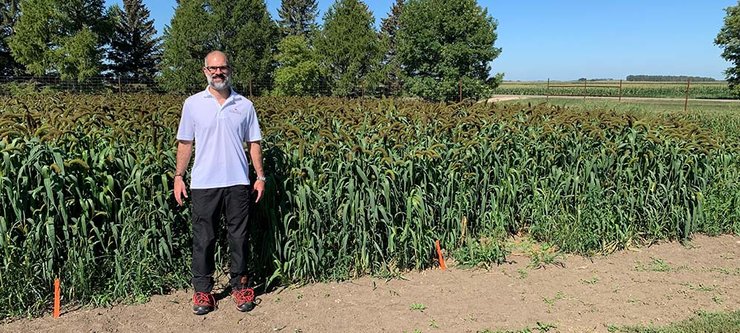 Paulo Pagliari stands near the designated east African crops at the Lamberton research and outreach center.