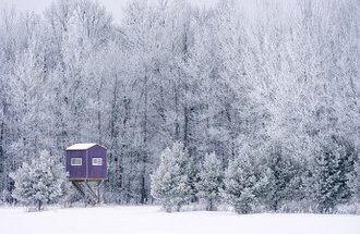 A purple hunting blind sits along the edge of a forest of trees that are covered in white frost.