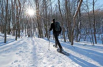A person snowshoeing at the Minnesota Landscape Arboretum.