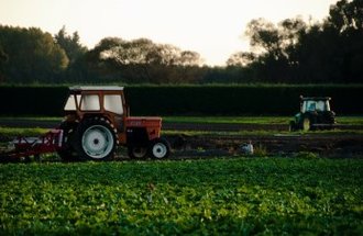 A red tractor and a green tractor cultivate a farm field.
