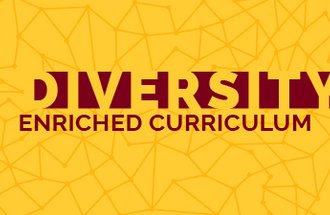 Diversity Enriched Curriculum graphic.