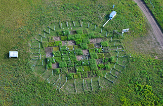 Aerial view of a research plot at Cedar Creek Ecosystem Science Reserve.