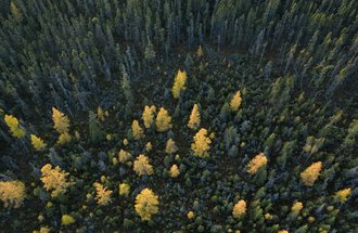 Aerial image of the Cloquet Valley State Forest. Photo credit: Brian Peterson.