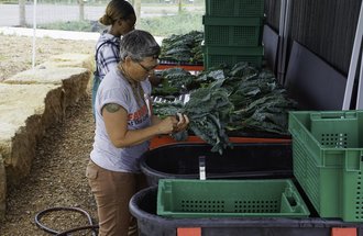Two people working with vegetables with Farm at the Arb.