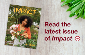 Cover of the fall 2021 issue of Impact.