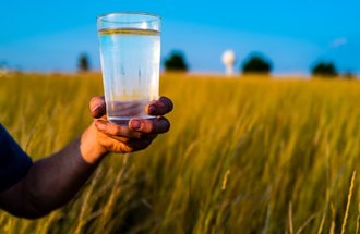 Person holding glass of water in a field of Kernza.