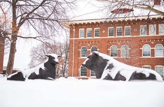 Two of the three bronze bull statues in winter. 