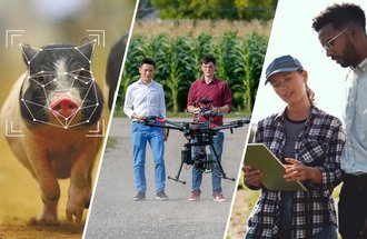 Three images side by side. A pig, two people with a drone and two people looking at a mobile device.