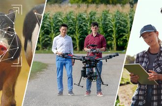 Three images side by side. A pig, two people with a drone in front of a corn field and two people looking at a mobile device.