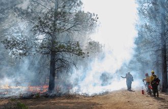 Prescribed Fire Training Exchange in the Deschutes National Forest near Bend, OR 2019. Photo credit: Brady Holden.