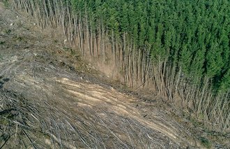Aerial view of deforestation with trees down alongside trees still growing.