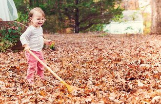 Small child rakes leaves. 