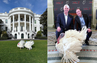 1000x650 Brian Buhr and Jeff Ettinger with National Thanksgiving Turkeys